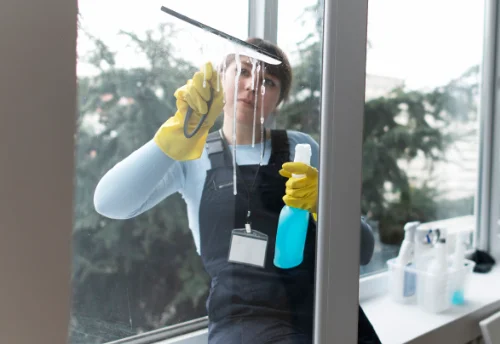 Nettoyage de vitres intérieures et extérieures à Lavit